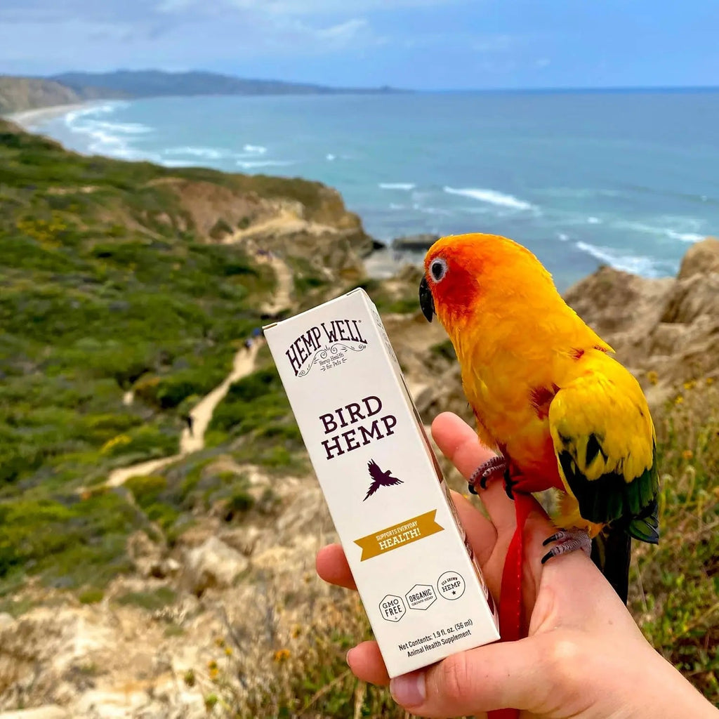 Organic Hemp Oil for Birds 2oz Feather & Immune Support Parrot