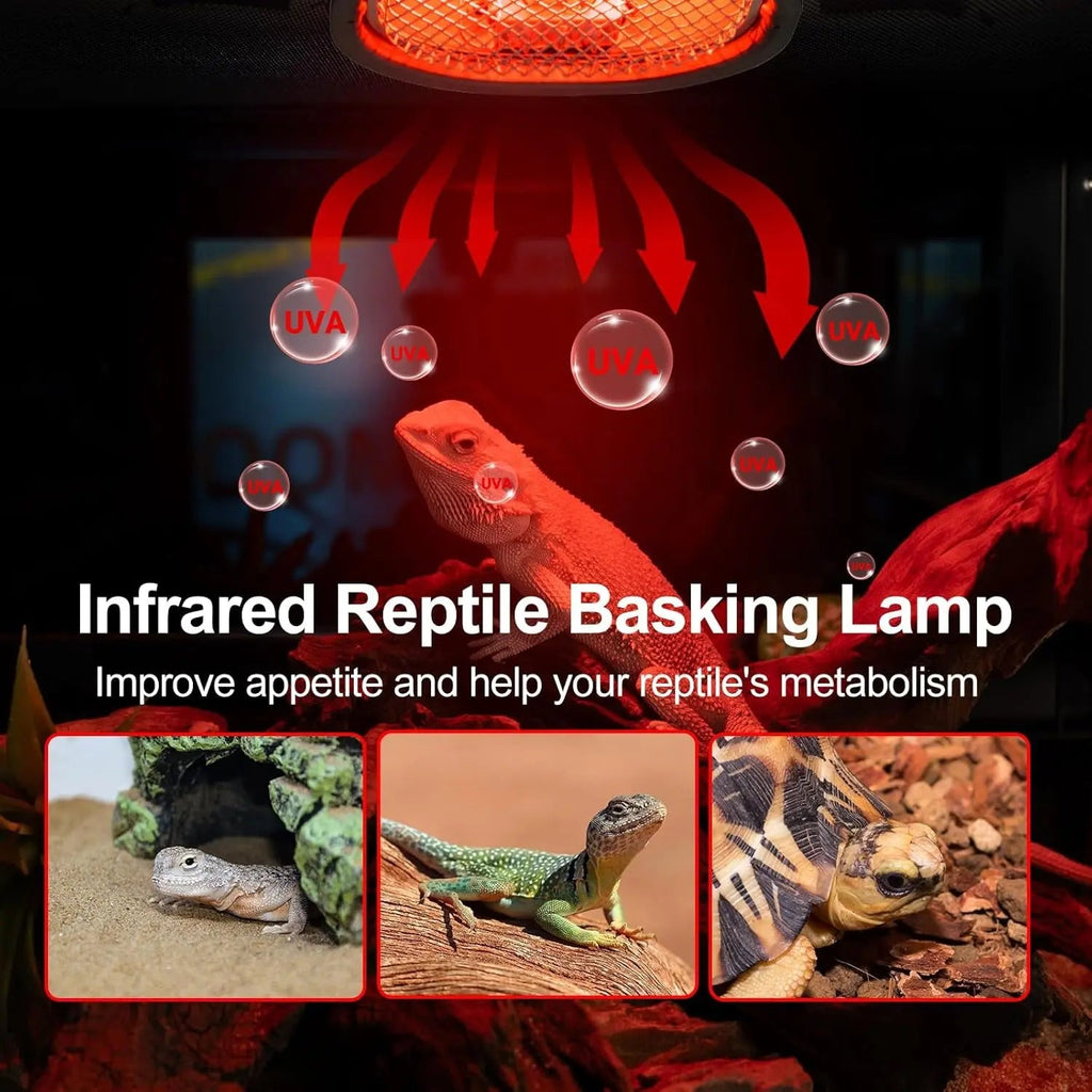 G9 Reptile Infrared Heat Lamp Kit 50W UVA Basking Light Hood Mesh