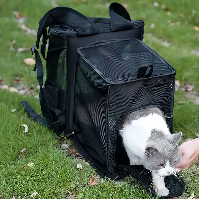 Pet Carrier Backpack Expandable for Cats Dogs Under 18 LB | Breathable Mesh Cat Backpack Carrier Bag | Foldable Dog Backpack