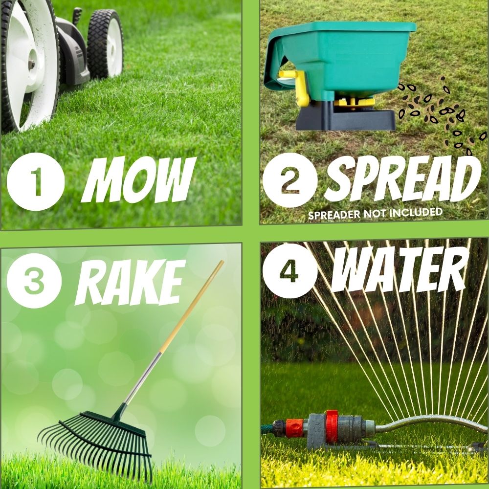 RUFF and TUFF! Grass Seed