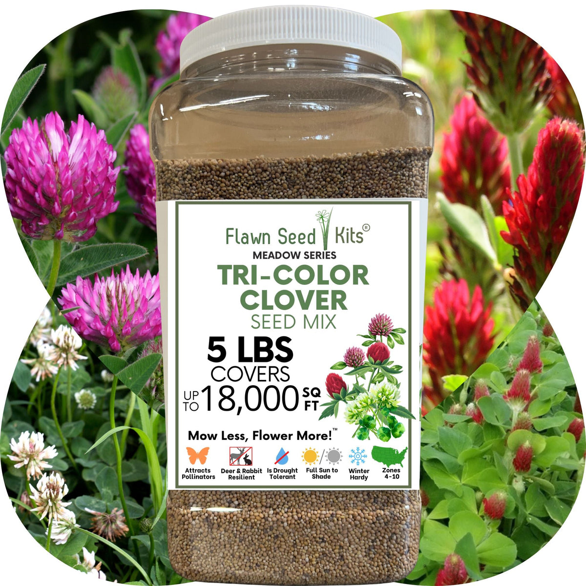 Tri-Color Clover Seed Blend