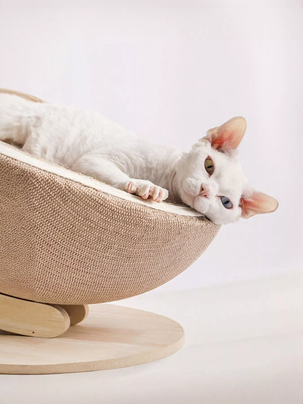 Cat Nest with Hemp Rope Scratcher