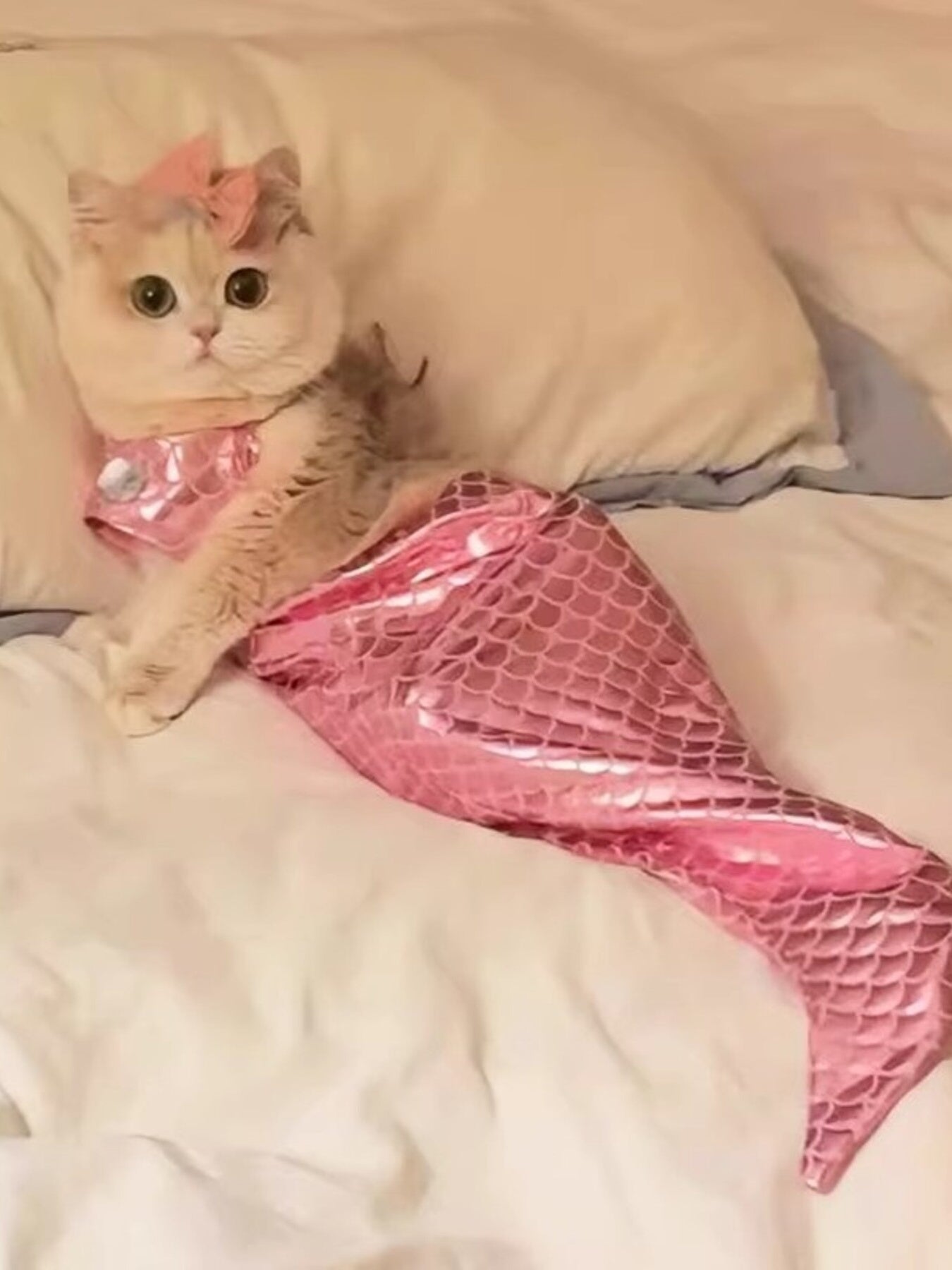 Shiny Mermaid Pet Costume Dress