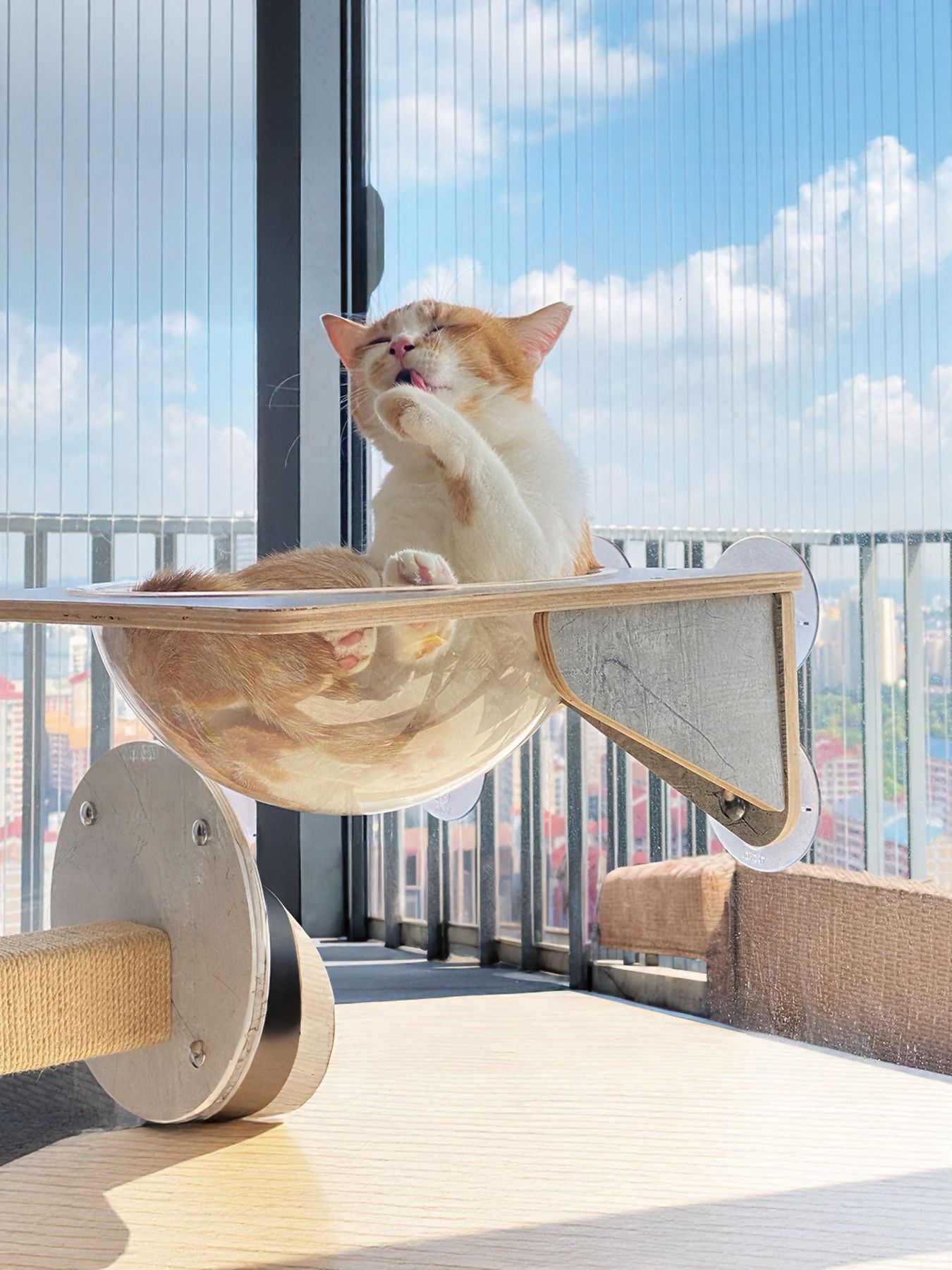 Window Mounted Cat Condos