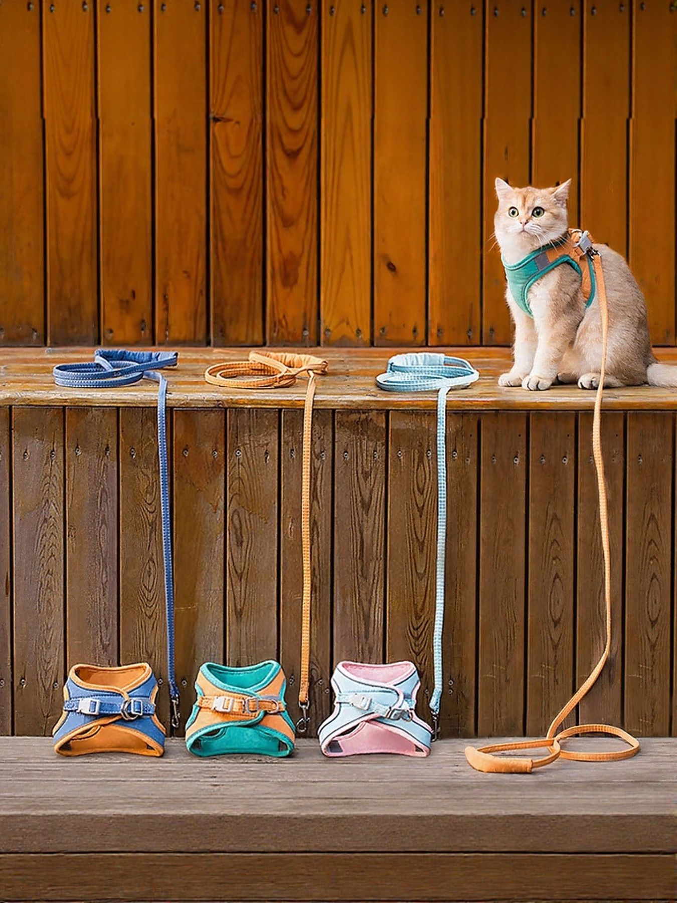Escape-Proof Cat Harness and Leash Set