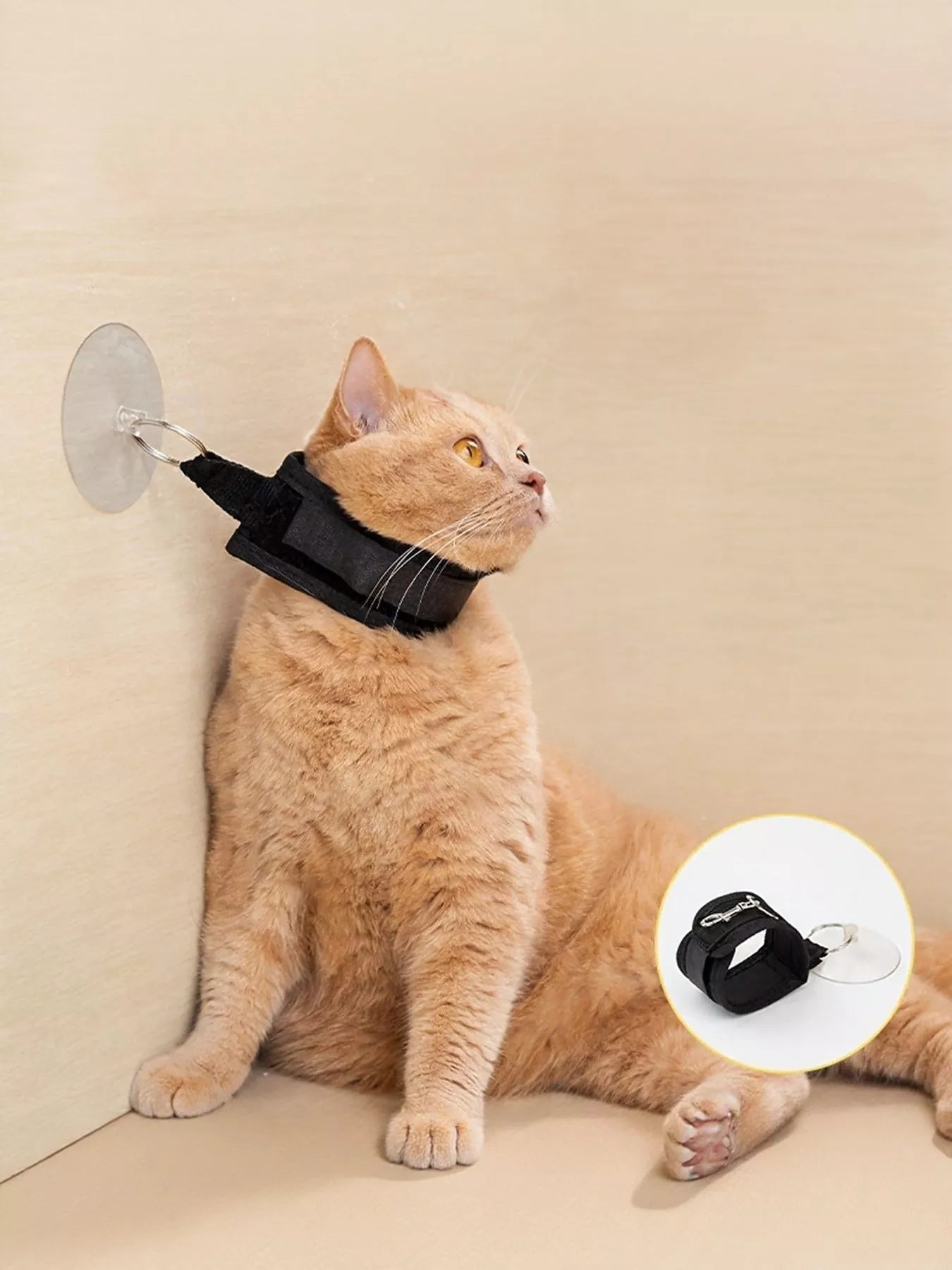 Adjustable Breakaway Cat Collar with Suction Cup Leash