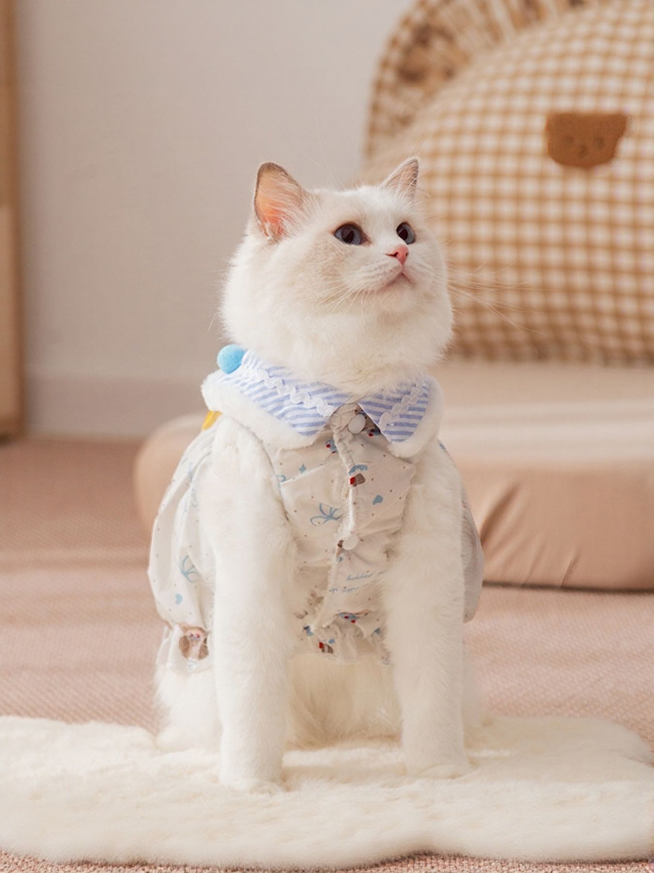 Bow Button Down Pet Dress