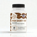 Fish Doxy (Doxycycline) Capsules Fish Antibiotics