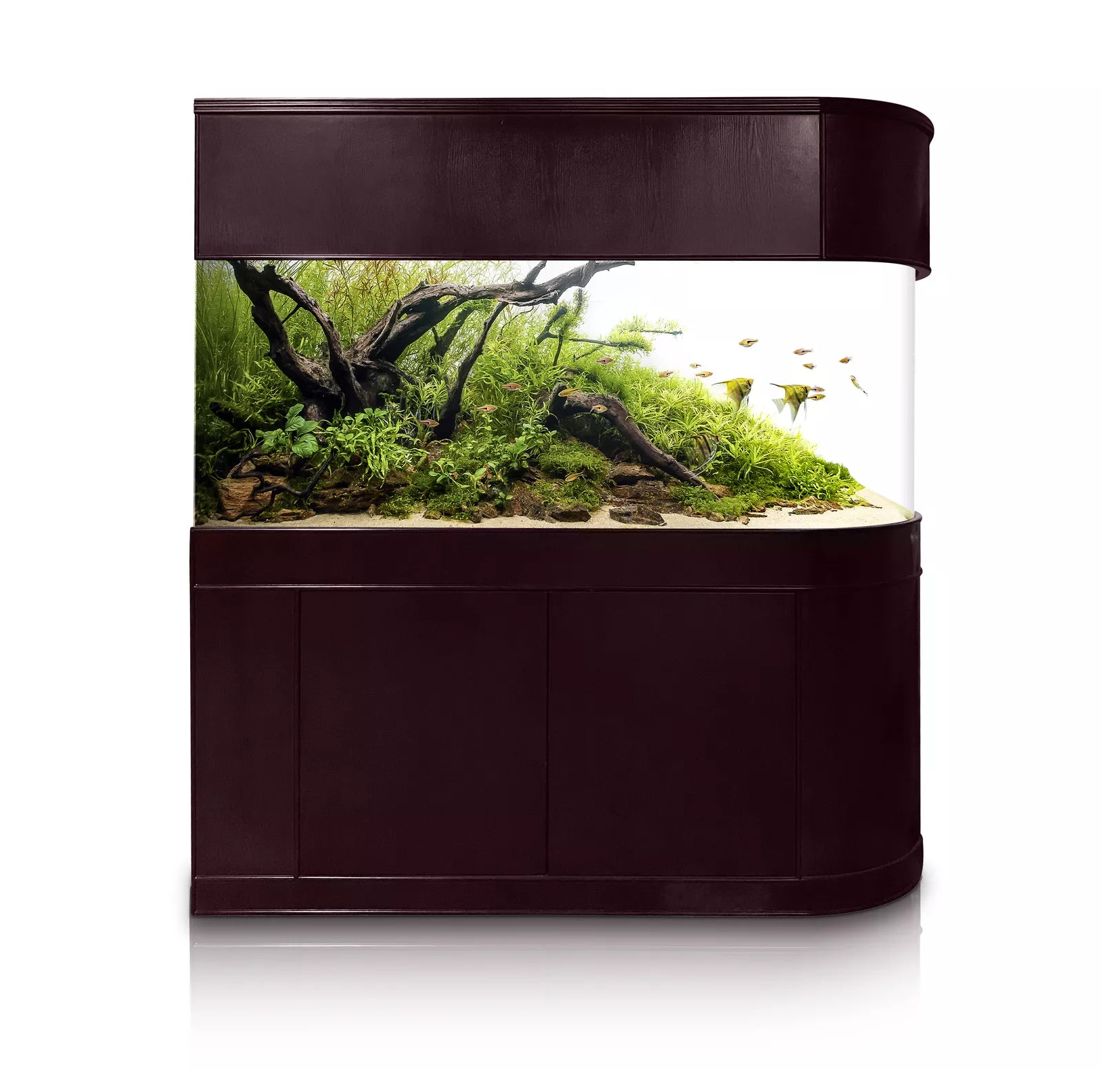 120 Gallon U-Shape Bullnose Peninsula Divider Glass Aquarium Reef-Ready in Rose Cherry Real Wood Furniture